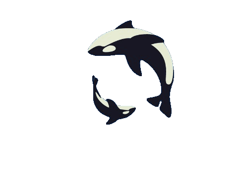 Loader with two dolphins